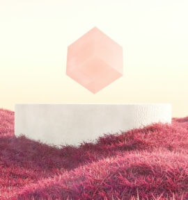 AI Op-ed open weights