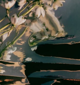 SAFEGOV climate project