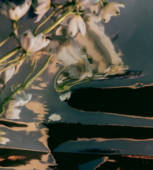 SAFEGOV climate project