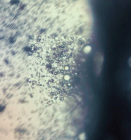 bio-header-image