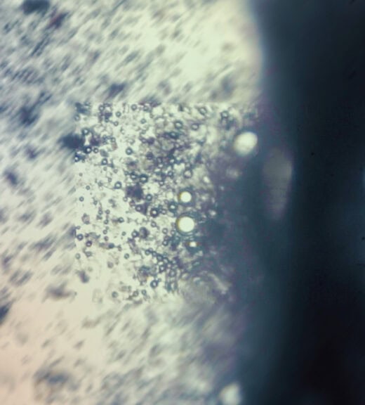 bio-header-image