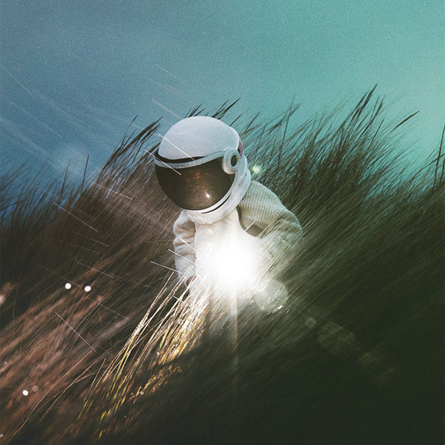 little-astronaut-in-the-fields