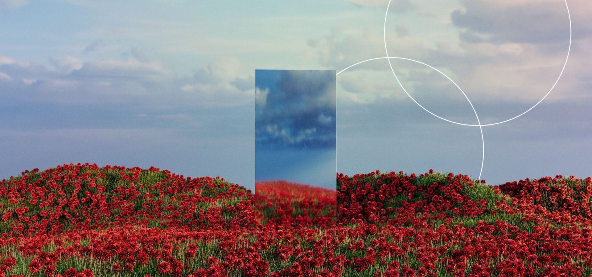 mirror-in-fields