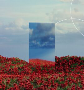 mirror-in-fields