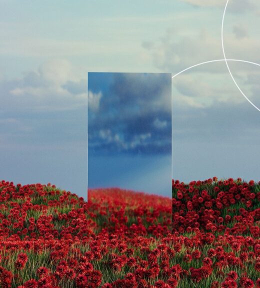 mirror-in-fields