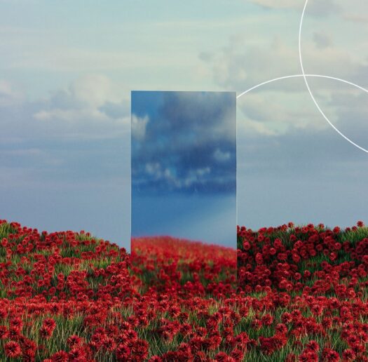 mirror-in-fields